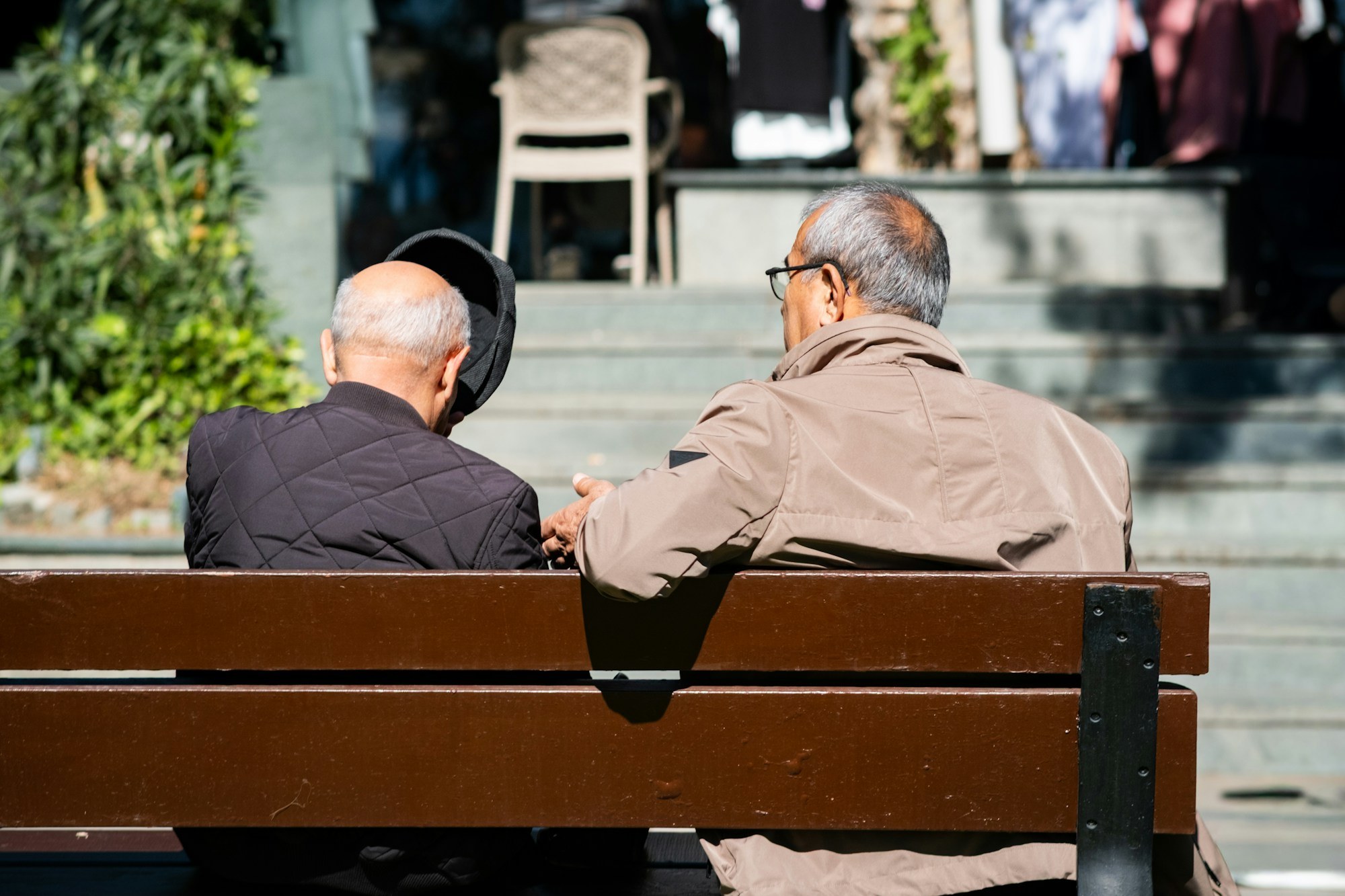 Two older men sit together on a park bench, backs to the camera, talking quietly in the sun.
